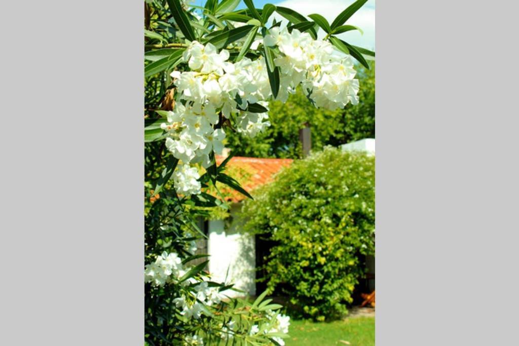 Big Beautiful House With Garden In 5Ta Seccion Neighbourhood Villa Mendoza Dış mekan fotoğraf