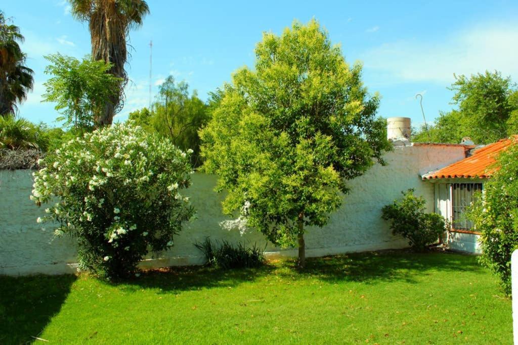 Big Beautiful House With Garden In 5Ta Seccion Neighbourhood Villa Mendoza Dış mekan fotoğraf