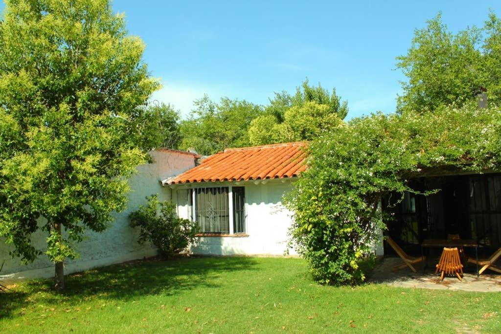 Big Beautiful House With Garden In 5Ta Seccion Neighbourhood Villa Mendoza Dış mekan fotoğraf